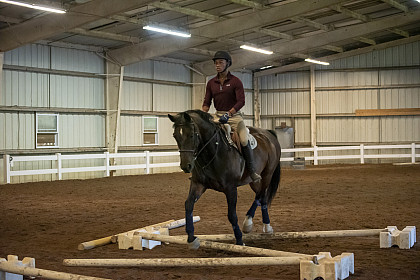 Mounted Session at Equine Camp