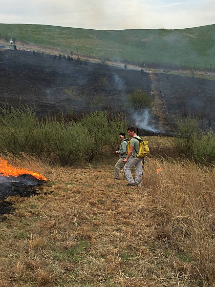 Two students manage a controlled burn for succession studies.
