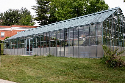The Emory & Henry College greenhouse is home to many different families of flowers and plants.