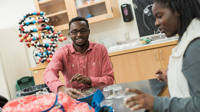 Students conducting research in lab.