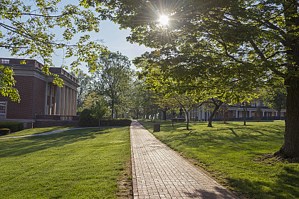 A beautiful walk to Kelly Library.