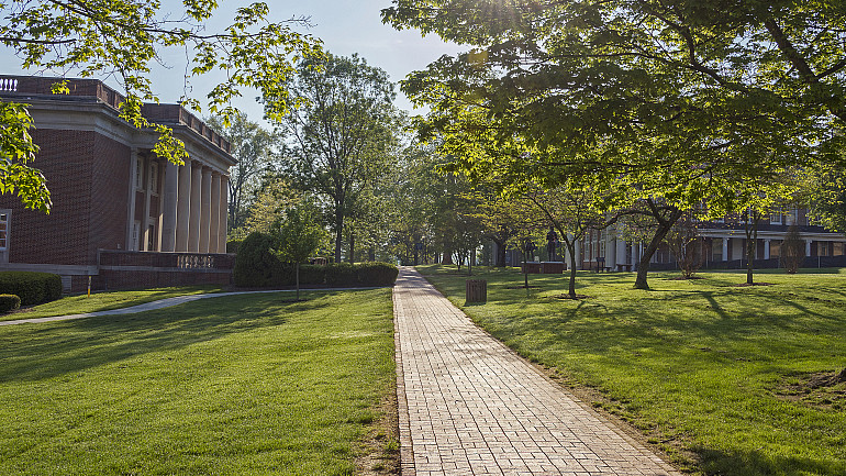 sidewalk through campus