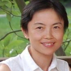 Dr. Xiaoxue Li