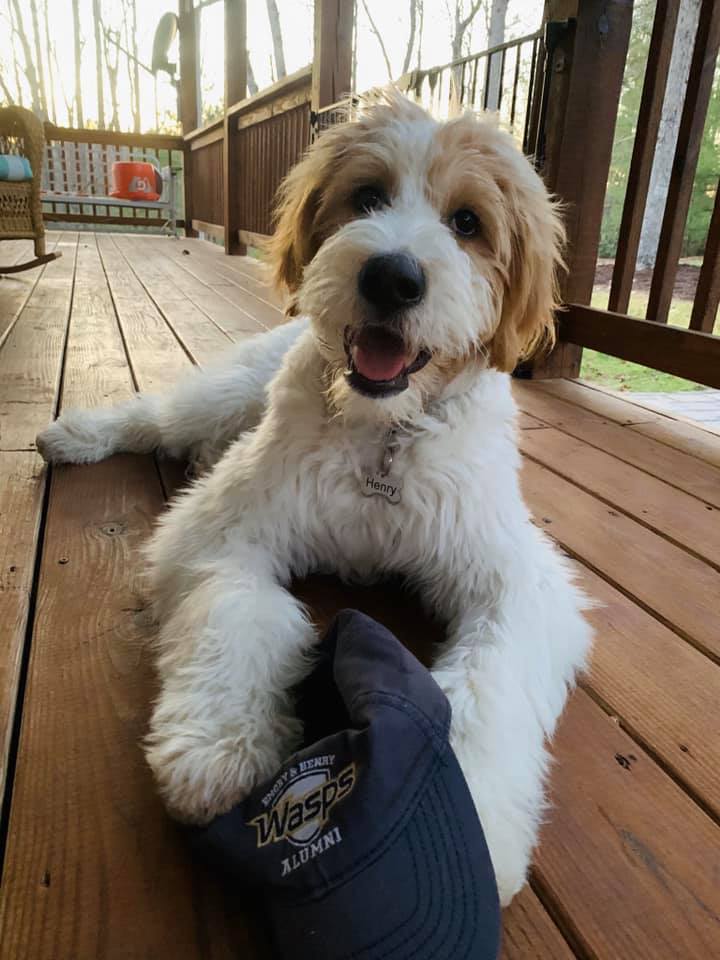 Taylor Bohon and Henry in Franklin County, VA