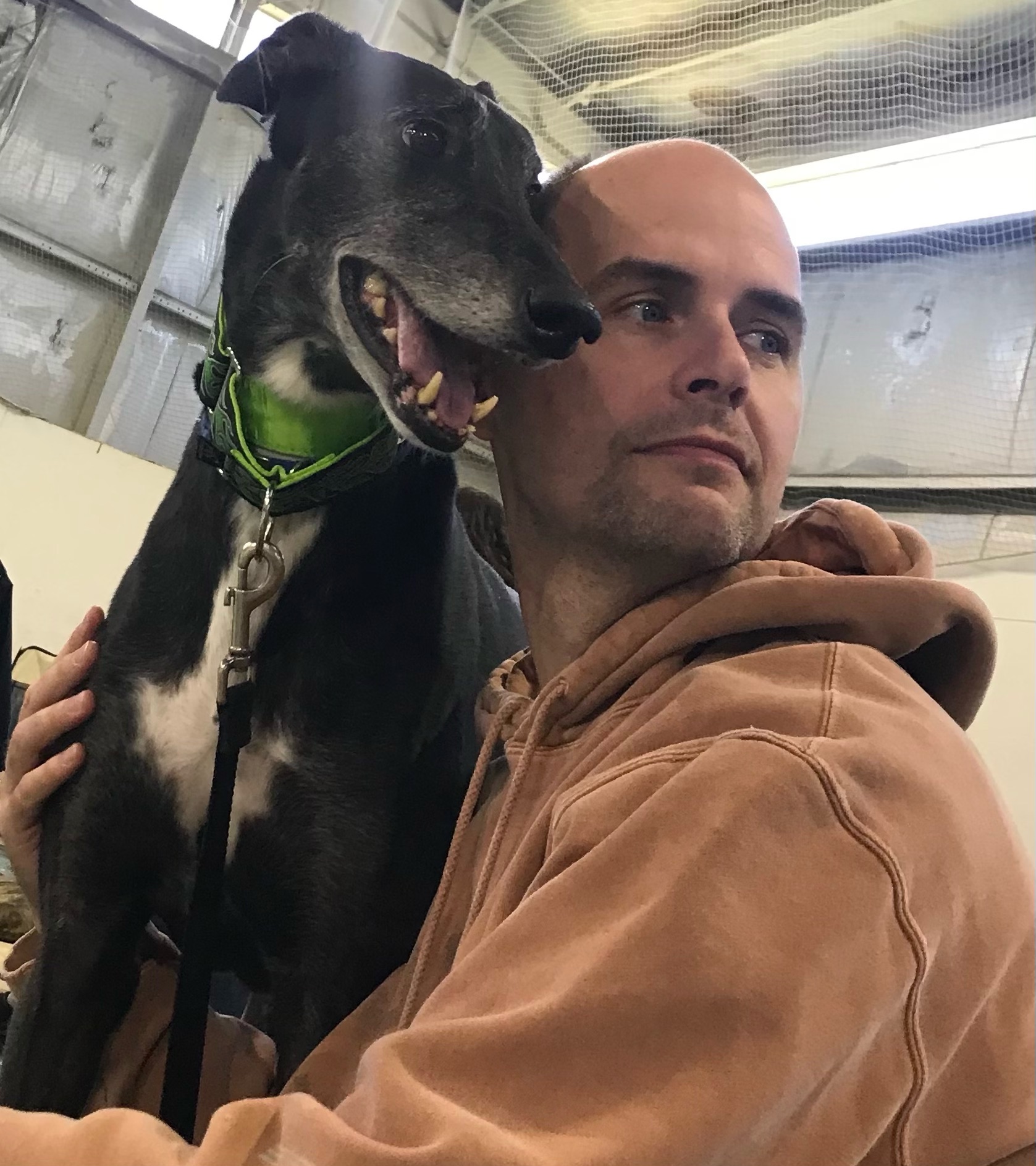 Preston Lowe, Emory & Henry Class of 1996, with one of his adopted Greyhounds, Strummer.