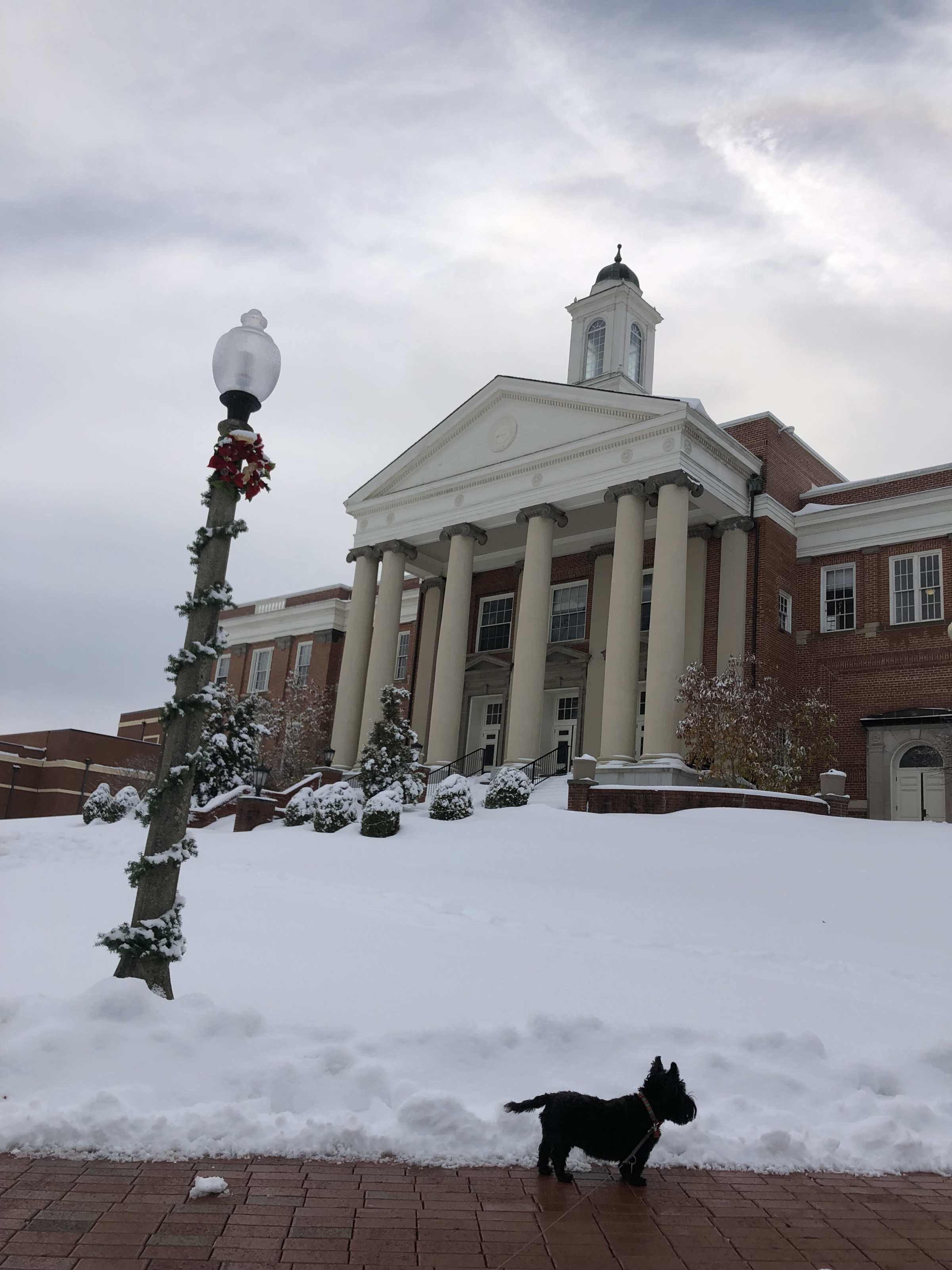 Wiley Hall on a snowy day.