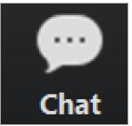 Zoom Chat
